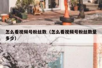 怎么看视频号粉丝数（怎么看视频号粉丝数量多少）