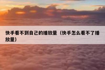 快手看不到自己的播放量（快手怎么看不了播放量）