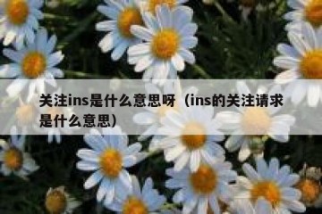 关注ins是什么意思呀（ins的关注请求是什么意思）