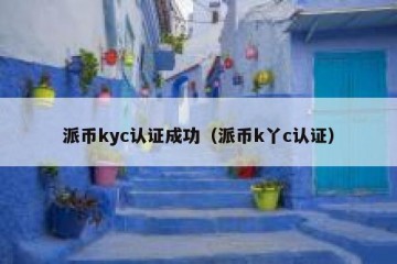 派币kyc认证成功（派币k丫c认证）