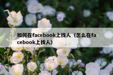 如何在facebook上找人（怎么在facebook上找人）