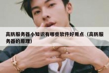 高防服务器小知识有哪些软件好用点（高防服务器的原理）