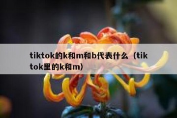 tiktok的k和m和b代表什么（tiktok里的k和m）