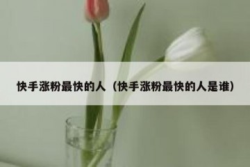 快手涨粉最快的人（快手涨粉最快的人是谁）