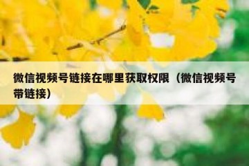 微信视频号链接在哪里获取权限（微信视频号带链接）
