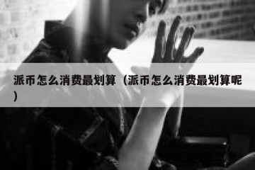 派币怎么消费最划算（派币怎么消费最划算呢）