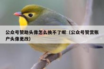 公众号赞助头像怎么换不了呢（公众号赞赏账户头像更改）