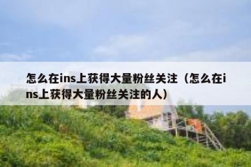 怎么在ins上获得大量粉丝关注（怎么在ins上获得大量粉丝关注的人）