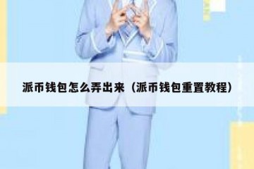 派币钱包怎么弄出来（派币钱包重置教程）
