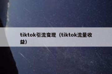 tiktok引流变现（tiktok流量收益）