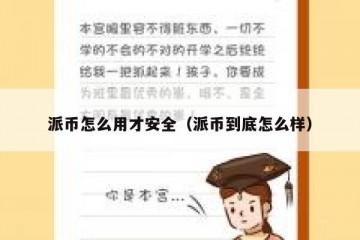 派币怎么用才安全（派币到底怎么样）