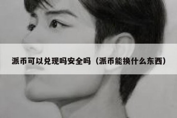 派币可以兑现吗安全吗（派币能换什么东西）