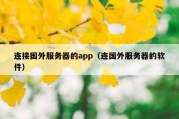 连接国外服务器的app（连国外服务器的软件）
