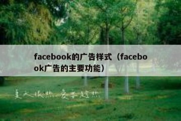 facebook的广告样式（facebook广告的主要功能）