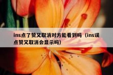 ins点了赞又取消对方能看到吗（ins误点赞又取消会显示吗）