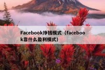 Facebook挣钱模式（facebook靠什么盈利模式）