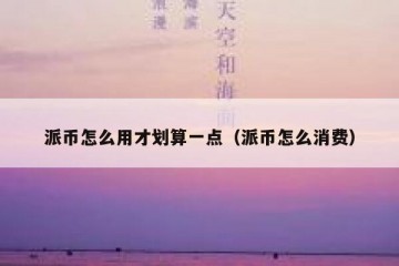 派币怎么用才划算一点（派币怎么消费）