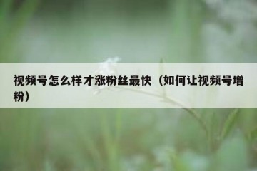 视频号怎么样才涨粉丝最快（如何让视频号增粉）
