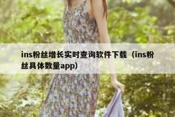 ins粉丝增长实时查询软件下载（ins粉丝具体数量app）