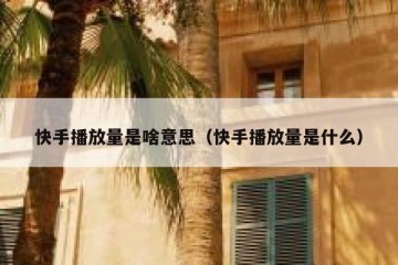 快手播放量是啥意思（快手播放量是什么）