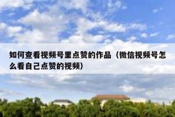 如何查看视频号里点赞的作品（微信视频号怎么看自己点赞的视频）