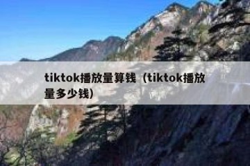 tiktok播放量算钱（tiktok播放量多少钱）