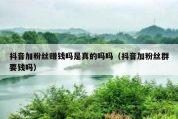 抖音加粉丝赚钱吗是真的吗吗（抖音加粉丝群要钱吗）