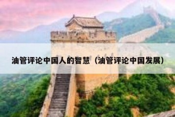 油管评论中国人的智慧（油管评论中国发展）