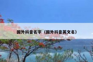 国外抖音名字（国外抖音英文名）