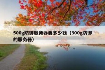 500g防御服务器要多少钱（300g防御的服务器）