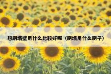 想刷墙壁用什么比较好呢（刷墙用什么刷子）