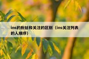 ins的粉丝和关注的区别（ins关注列表的人顺序）