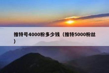 推特号4000粉多少钱（推特5000粉丝）