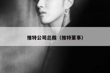 推特公司总裁（推特董事）