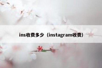 ins收费多少（instagram收费）