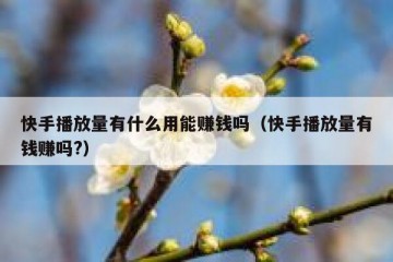 快手播放量有什么用能赚钱吗（快手播放量有钱赚吗?）