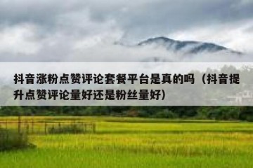 抖音涨粉点赞评论套餐平台是真的吗（抖音提升点赞评论量好还是粉丝量好）