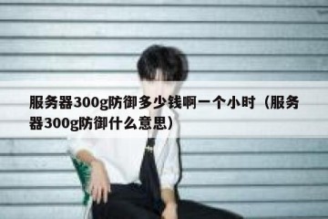 服务器300g防御多少钱啊一个小时（服务器300g防御什么意思）