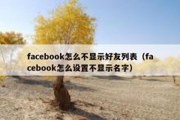 facebook怎么不显示好友列表（facebook怎么设置不显示名字）