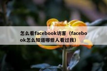 怎么看facebook访客（facebook怎么知道哪些人看过我）