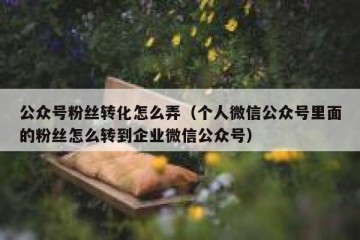 公众号粉丝转化怎么弄（个人微信公众号里面的粉丝怎么转到企业微信公众号）