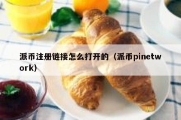 派币注册链接怎么打开的（派币pinetwork）