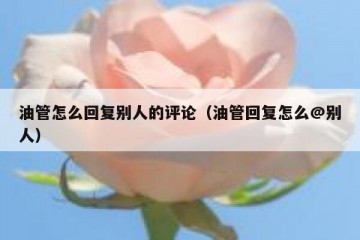油管怎么回复别人的评论（油管回复怎么@别人）