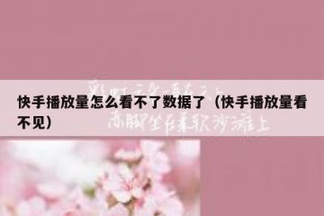 快手播放量怎么看不了数据了（快手播放量看不见）