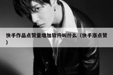 快手作品点赞量增加软件叫什么（快手涨点赞）