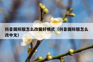 抖音国际版怎么改偏好模式（抖音国际版怎么改中文）