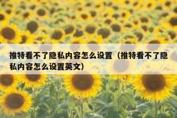 推特看不了隐私内容怎么设置（推特看不了隐私内容怎么设置英文）