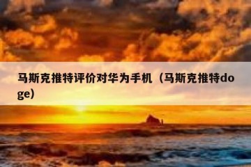 马斯克推特评价对华为手机（马斯克推特doge）