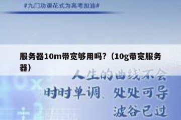 服务器10m带宽够用吗?（10g带宽服务器）