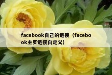 facebook自己的链接（facebook主页链接自定义）